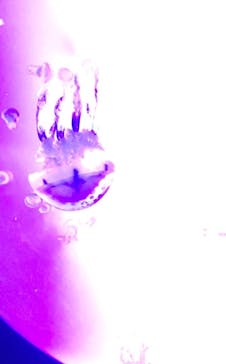 サンシャイン水族館に投稿された画像（2020/9/9）