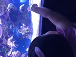 すみだ水族館に投稿された画像（2020/9/9）