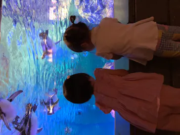 すみだ水族館に投稿された画像（2020/9/9）