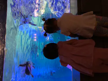 すみだ水族館に投稿された画像（2020/9/9）