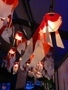 すみだ水族館に投稿された画像（2020/9/9）