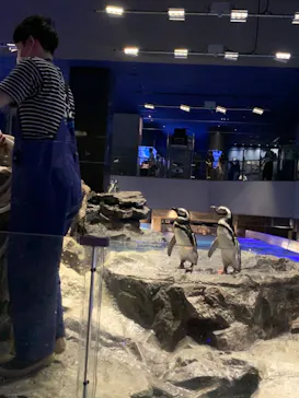 すみだ水族館に投稿された画像（2020/9/9）