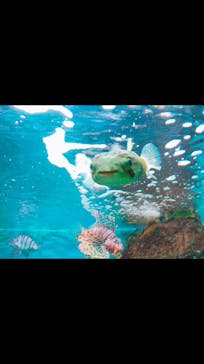 株式会社Gに投稿された画像（2020/9/9）