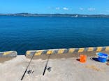海釣り体験＠レンタル釣竿まるへい遊び隊に投稿された画像（2020/9/9）
