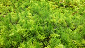 箱根美術館に投稿された画像（2020/9/9）