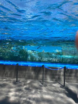 サンシャイン水族館に投稿された画像（2020/9/9）