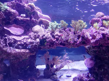 すみだ水族館に投稿された画像（2020/9/10）