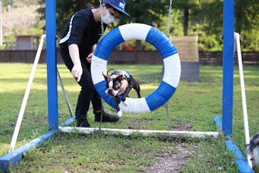 わんダフルネイチャーヴィレッジに投稿された画像（2020/9/10）