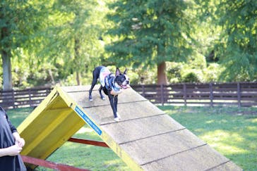 わんダフルネイチャーヴィレッジに投稿された画像（2020/9/10）