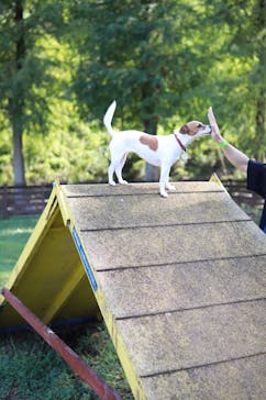 わんダフルネイチャーヴィレッジに投稿された画像（2020/9/10）