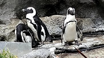 サンシャイン水族館に投稿された画像（2020/9/10）