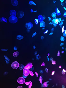 すみだ水族館に投稿された画像（2020/9/10）