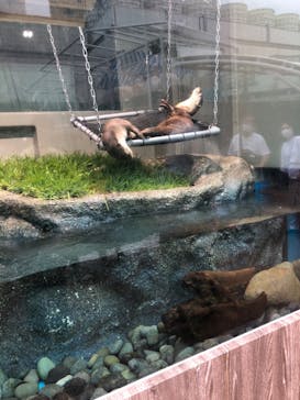 サンシャイン水族館に投稿された画像（2020/9/10）