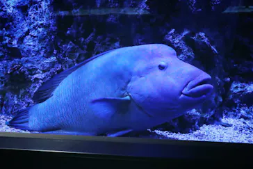 すみだ水族館に投稿された画像（2020/9/10）