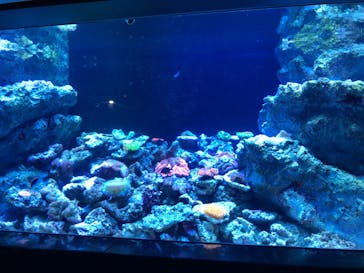 マクセル アクアパーク品川に投稿された画像（2020/9/10）