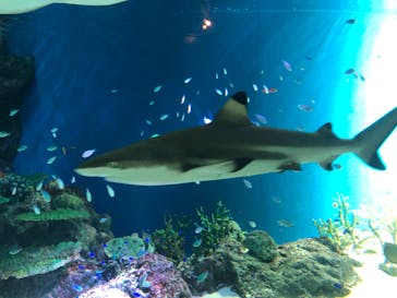 マクセル アクアパーク品川に投稿された画像（2020/9/10）