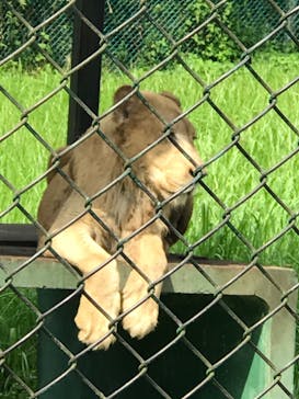 那須サファリパークに投稿された画像（2020/9/10）