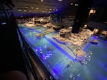 すみだ水族館に投稿された画像（2020/9/11）