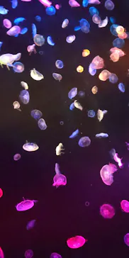 すみだ水族館に投稿された画像（2020/9/10）