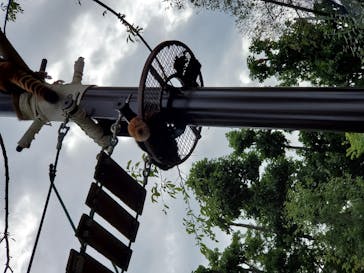 旭川市旭山動物園に投稿された画像（2020/9/10）