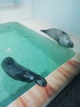 大分マリーンパレス水族館 「うみたまご」に投稿された画像（2020/9/11）