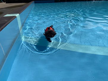 わんダフルネイチャーヴィレッジに投稿された画像（2020/9/11）