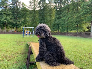 わんダフルネイチャーヴィレッジに投稿された画像（2020/9/11）