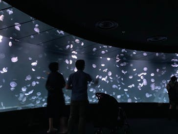 サンシャイン水族館に投稿された画像（2020/9/11）