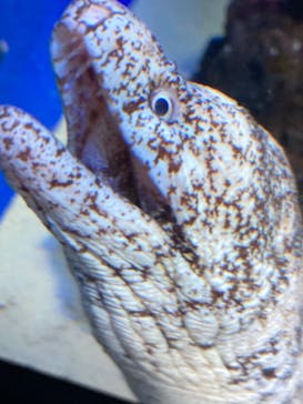 サンシャイン水族館に投稿された画像（2020/9/11）