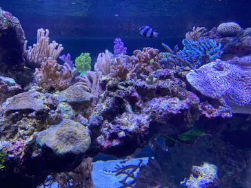 すみだ水族館に投稿された画像（2020/9/11）