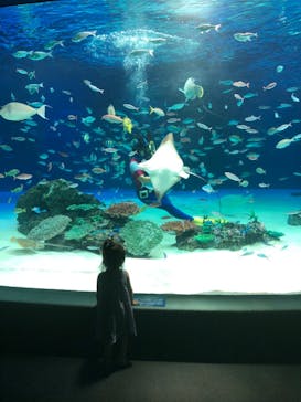 サンシャイン水族館に投稿された画像（2020/9/11）