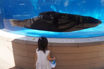 サンシャイン水族館に投稿された画像（2020/9/11）