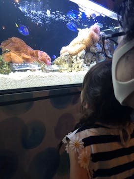 京都水族館に投稿された画像（2020/9/11）