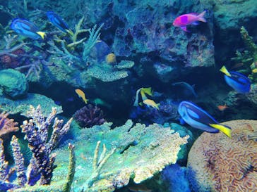 サンシャイン水族館に投稿された画像（2020/9/11）