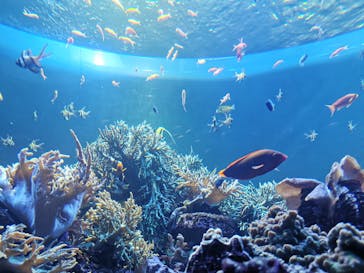 サンシャイン水族館に投稿された画像（2020/9/11）