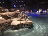 すみだ水族館に投稿された画像（2020/9/11）
