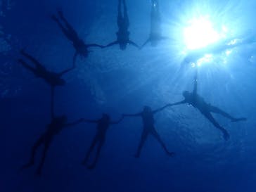 石垣島 ADVENTURE PiPi（イシガキジマアドベンチャーピピ）に投稿された画像（2020/9/11）