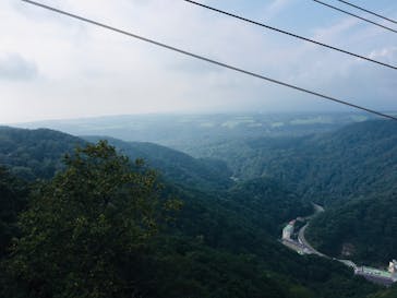 のぼりべつクマ牧場に投稿された画像（2020/9/11）