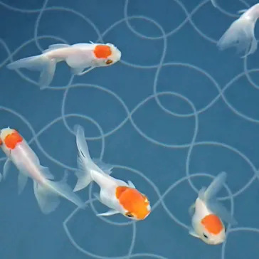 すみだ水族館に投稿された画像（2020/9/11）
