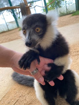 東北サファリパークに投稿された画像（2020/9/12）
