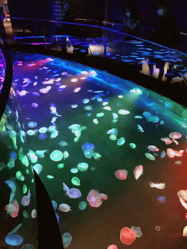 すみだ水族館に投稿された画像（2020/9/12）