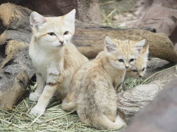那須どうぶつ王国に投稿された画像（2020/9/12）