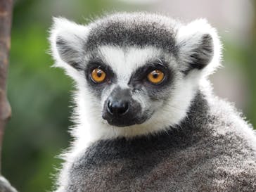 那須どうぶつ王国に投稿された画像（2020/9/12）