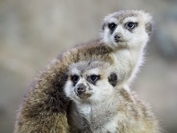 那須どうぶつ王国に投稿された画像（2020/9/12）