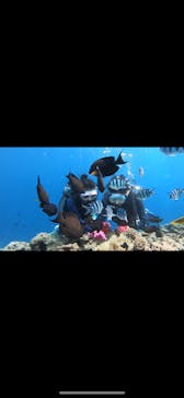 DIVING-SHOP SUNSに投稿された画像（2020/9/12）