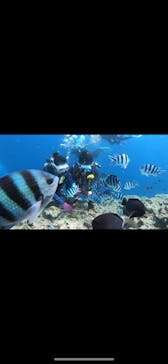 DIVING-SHOP SUNSに投稿された画像（2020/9/12）