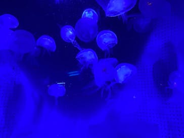 株式会社Gに投稿された画像（2020/9/12）