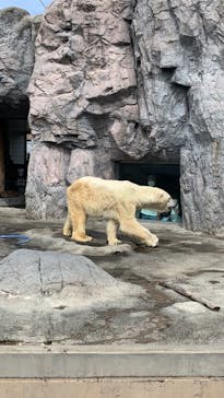 旭川市旭山動物園に投稿された画像（2020/9/12）