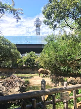 天王寺動物園に投稿された画像（2020/9/12）