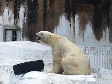 天王寺動物園に投稿された画像（2020/9/12）
